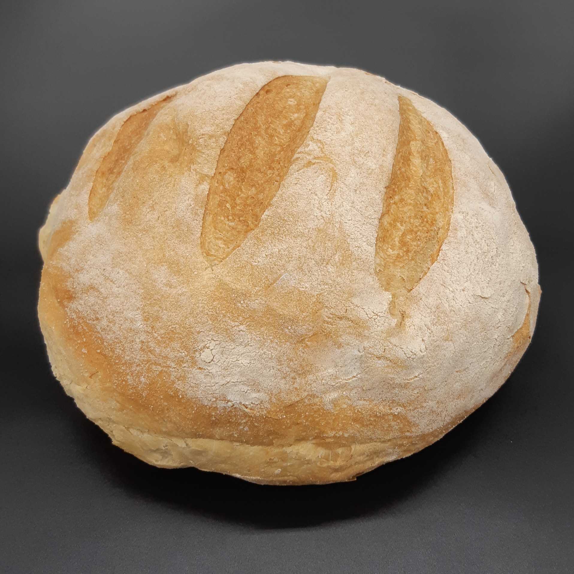 SMALL PAGNOTTA 