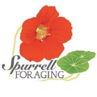 Spurrell Foraging