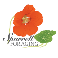 Spurrell Foraging