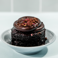 The Plant Bakery (Sweet Nectar & Plant Baked)