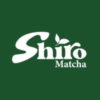 Shiro Matcha