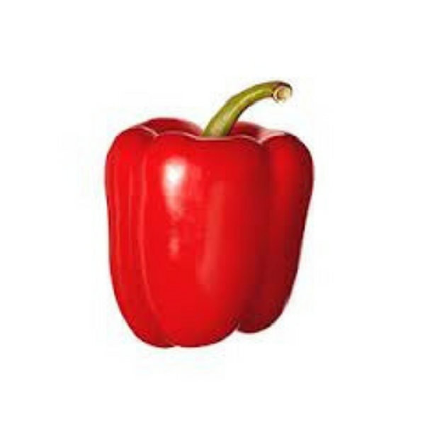 RED CAPSICUM - KG_image_Fruitilicious Wholesale_order now