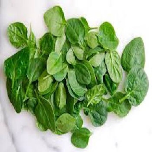 Baby Spinach 1.5 Kg