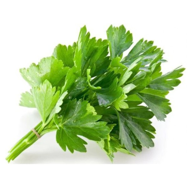 Coriander Bunch_image_Foodbox_order now