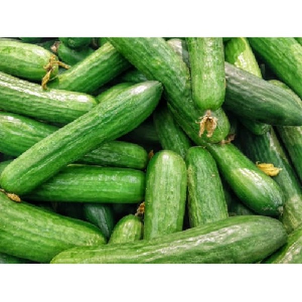 Cucumber Lebanese Kilogram_image_Foodbox_order now