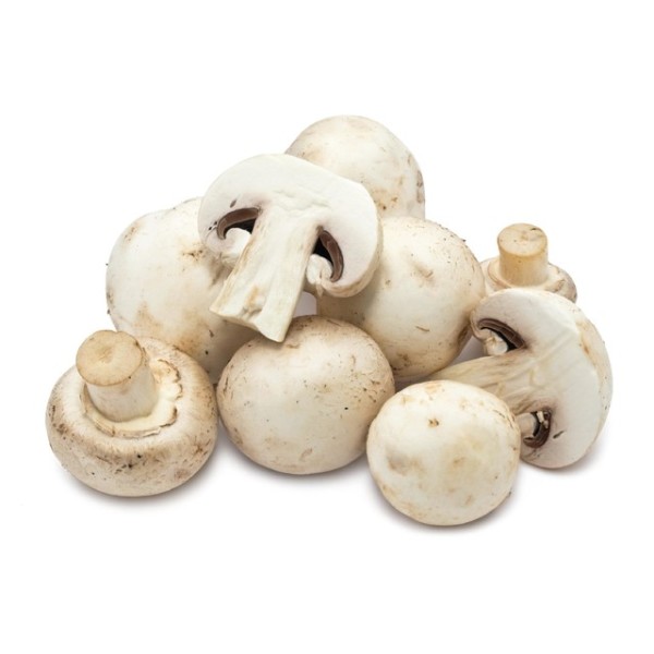 Mushroom Button Box