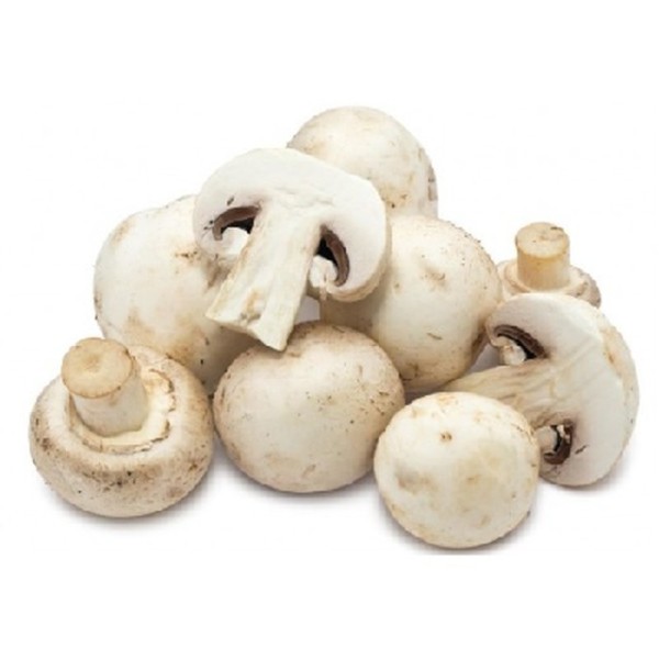 Mushroom Second Grade Box