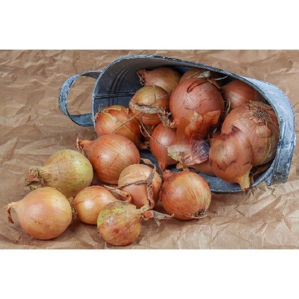 Onion Brown - Kg_image_Foodbox_order now