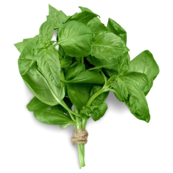 Basil_image_Greenlands Wholesale Fruit & Vegetables_order now