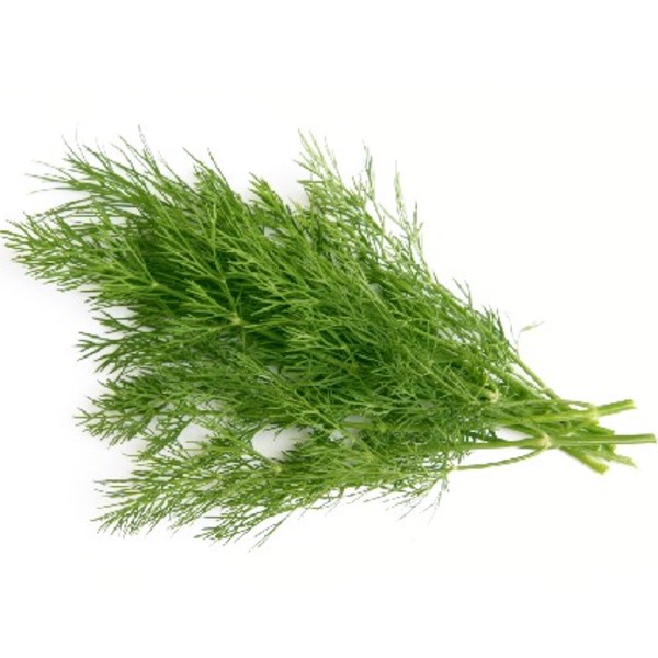 Dill_image_Greenlands Wholesale Fruit & Vegetables_order now