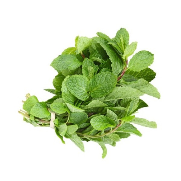 Mint_image_Greenlands Wholesale Fruit & Vegetables_order now