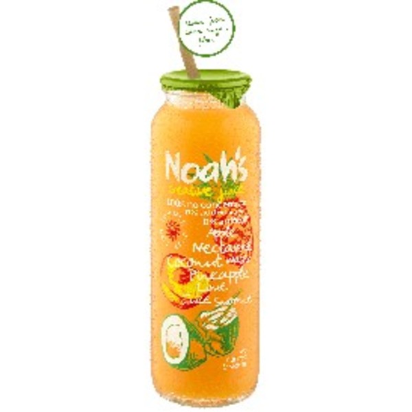 Noah's Nectarine C/Nut Pine 12x260ml