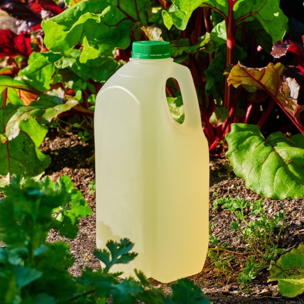 Cloudy Apple - 2L_image_Funk Drinks Co (formerly Michael Brothers)_order now