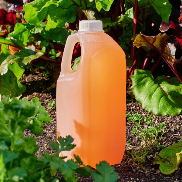 Strawberry Lemonade - 2L_image_Funk Drinks Co (formerly Michael Brothers)_order now