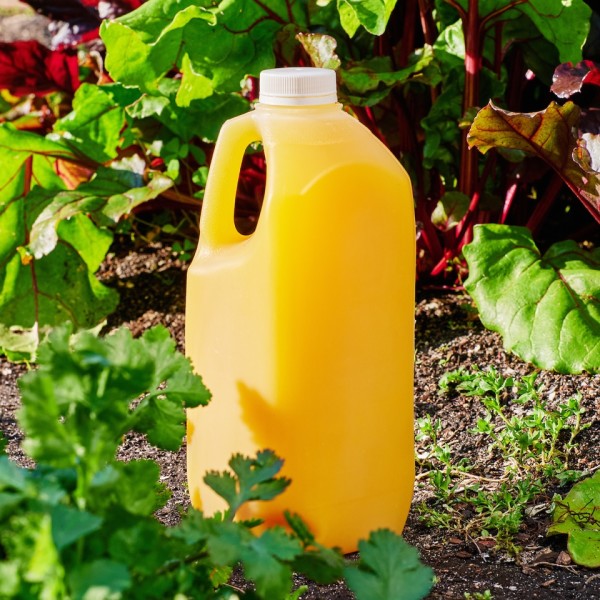 Traditional OJ - 2L_image_Funk Drinks Co (formerly Michael Brothers)_order now