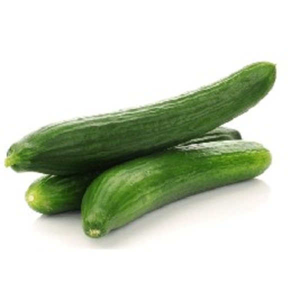 Cucumber Continental each Grade 1_image_Causley Wholesale_order now