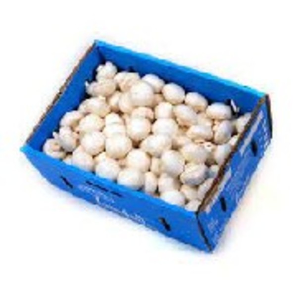 Mushrooms - Button box 4kg_image_Causley Wholesale_order now