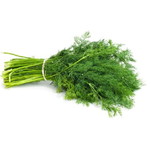 Dill bunch_image_Causley Wholesale_order now