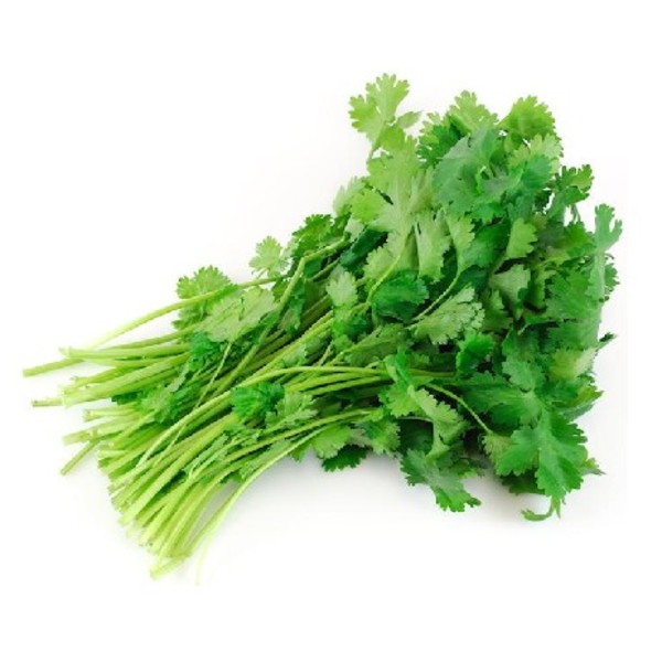 Coriander bunch_image_Causley Wholesale_order now