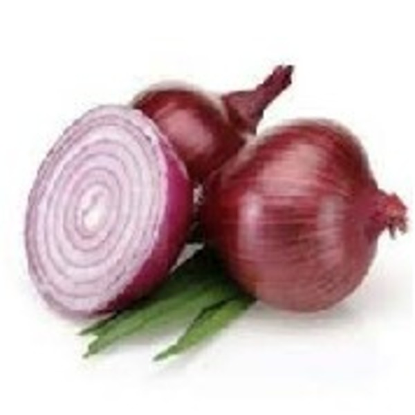 Red Onions 1kg_image_Causley Wholesale_order now