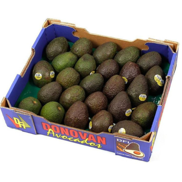 Avocados tray 6kg_image_Causley Wholesale_order now
