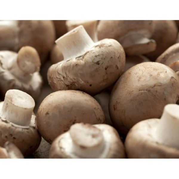 Mushrooms_image_Daves Cheese Pizza & Restaurant Supplies_order now