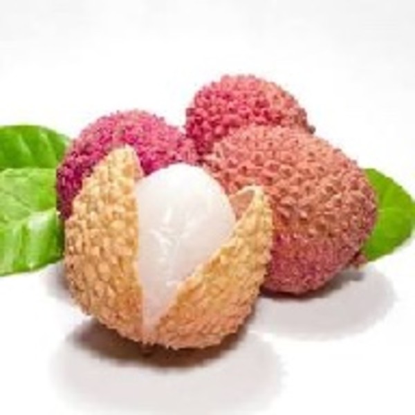 Lychee Puree 1L *FROZEN Line_image_Burleigh Drinks Co_order now