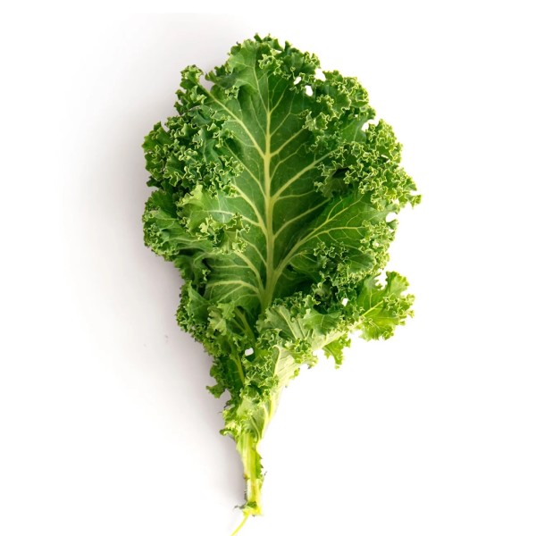Kale - Bunch_image_Urban Fresh_order now