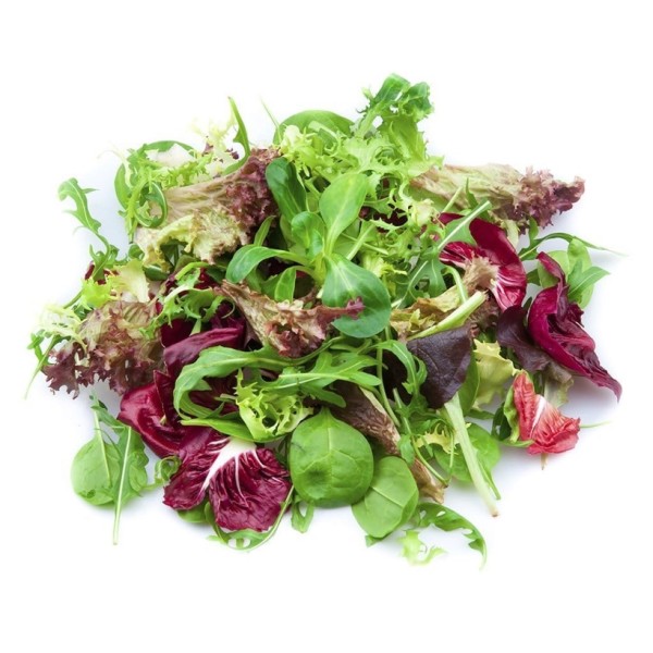 Salad mix - 3 Kg Box_image_Urban Fresh_order now