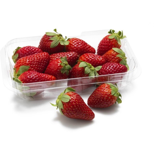 Strawberries (Tray 15x Punnet 250Grams)_image_Urban Fresh_order now