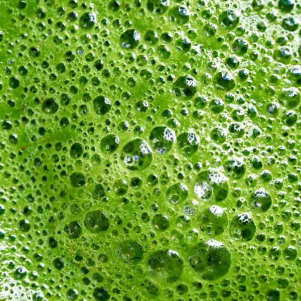 Green Blend 1L Cold Pressed Juice (SNAP FROZEN)