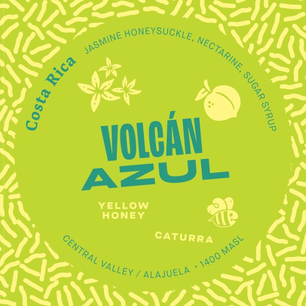 VOLCAN AZUL | COSTA RICA | 200G