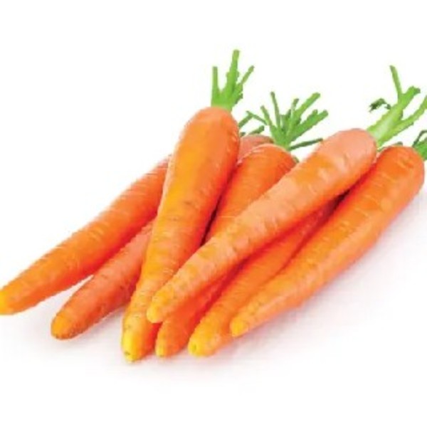 CARROT_image_String Bean's Produce_order now