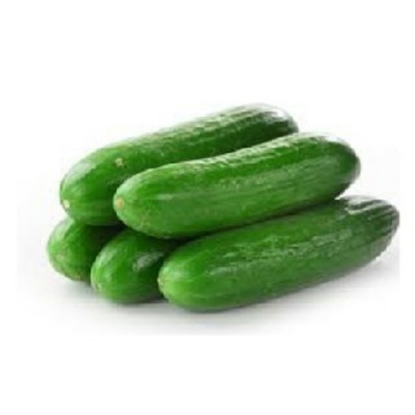 CUCUMBER lebanese