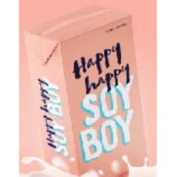 Happy Happy Soy Boy Soy Milk 1lx6