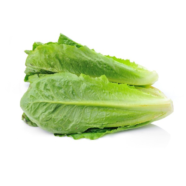Lettuce Cos Carton_image_Select Fresh Providores_order now