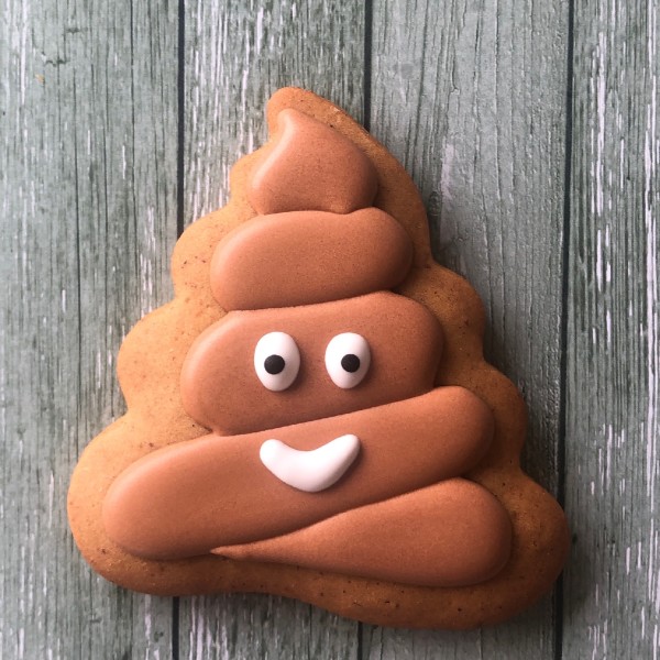 Gingerbread Poo