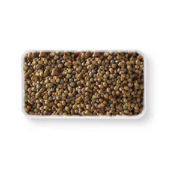 62008 - Figaro Capers Lilliput - 935g_image_Chefs Pantry_order now