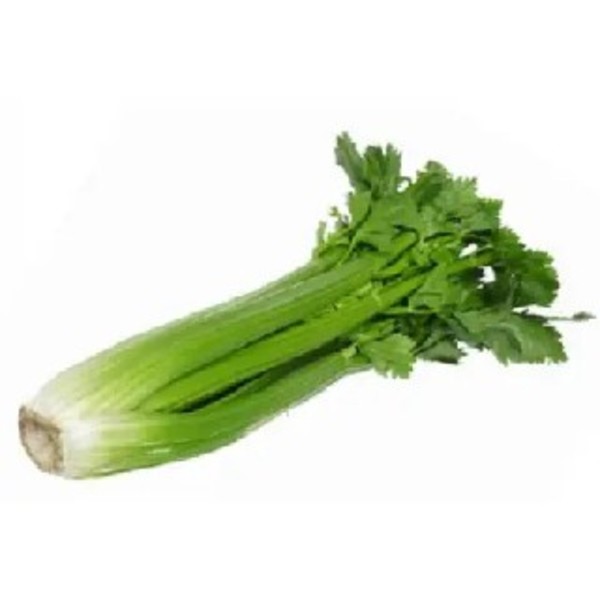 Celery Bunch_image_Select Fresh Providores QLD_order now