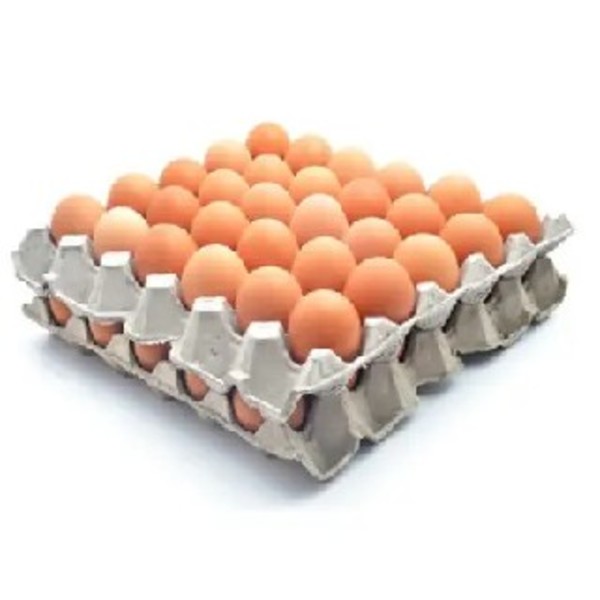 Egg 700Gm (15 Doz Pack) Carton