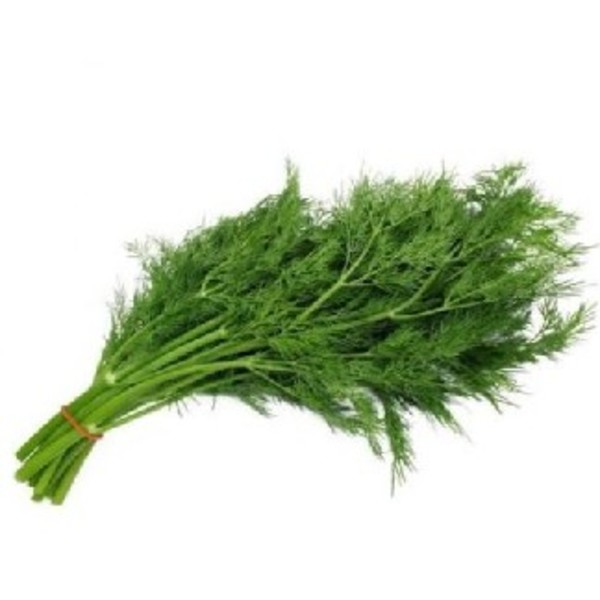 Herb Dill Bunch_image_Select Fresh Providores QLD_order now