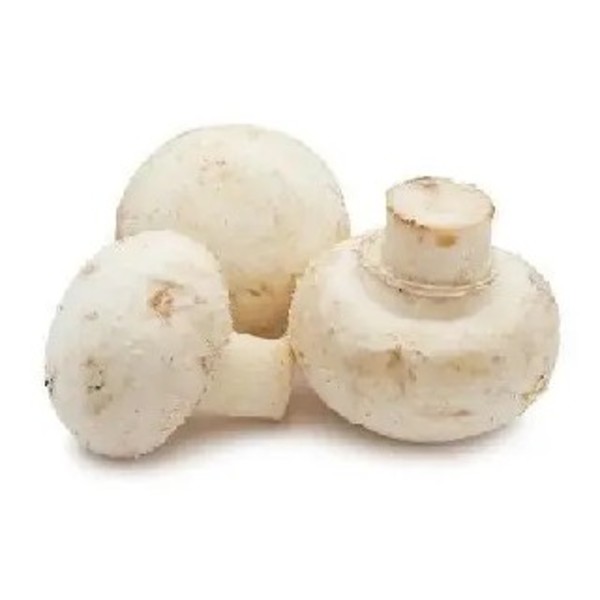 Mushroom Button B/Fast Kg_image_Select Fresh Providores QLD_order now
