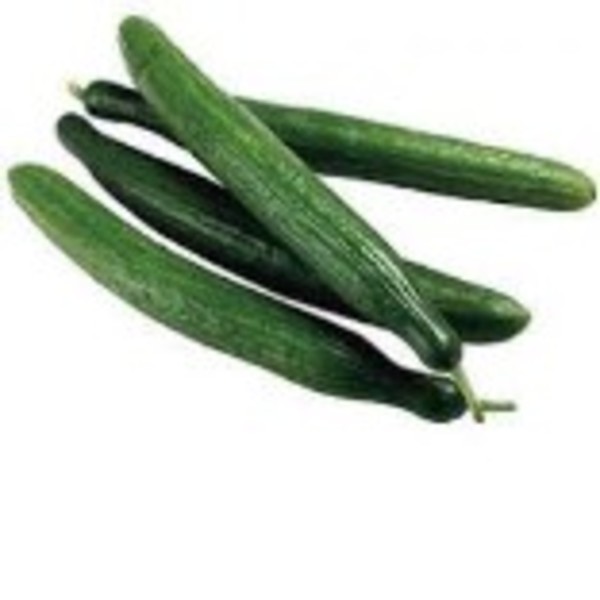Cucumber Continental Each_image_Select Fresh Providores QLD_order now