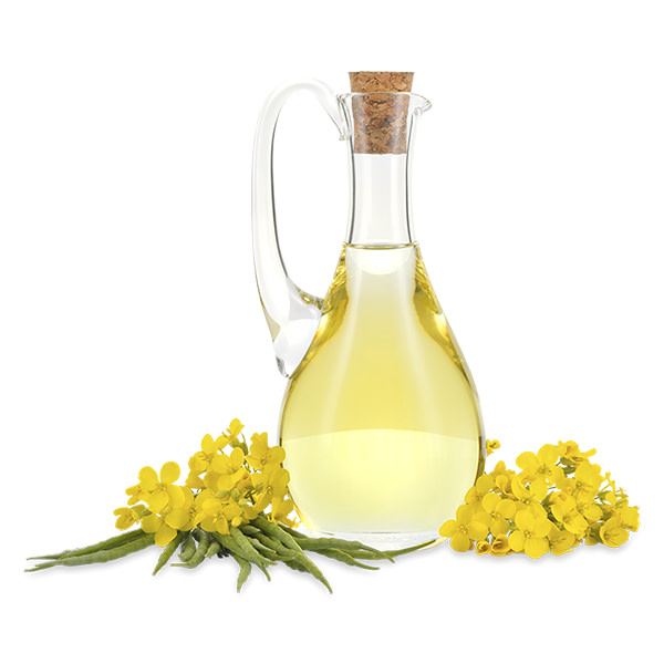 Canola Oil 20Lt_image_United Foodservice_order now