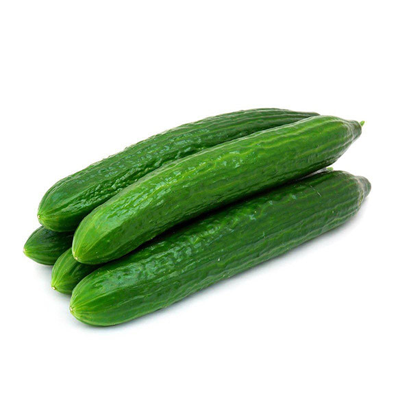Cucumber - Continental (Each)