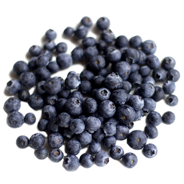 FZ FRUIT - BLUEBERRIES 1KG (10) THE BERRY MAN_image_B&E Foods VIC_order now