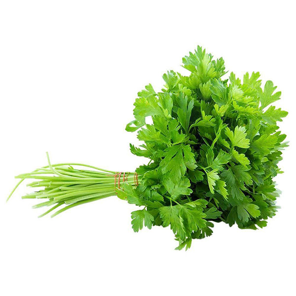 Coriander - Bunch (~1Bunch)