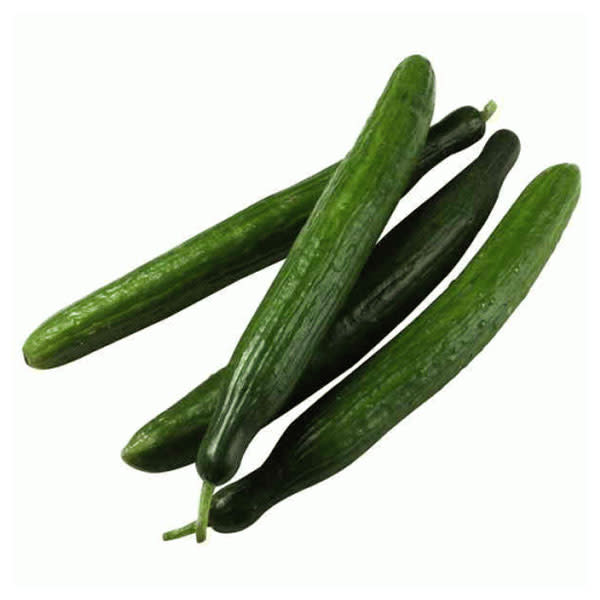 Cucumber Telegraph box (15ea) (~1Box)_image_Anticos Wholesale_order now