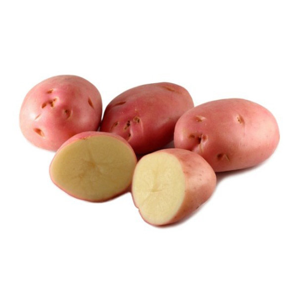 Potato Desiree Bag (20kg) Large #1 (~1Box)_image_Anticos Wholesale_order now