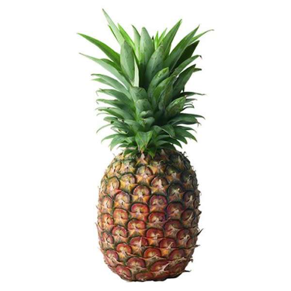 Pineapple - Each_image_Pro Bros_order now